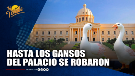 “Hasta Los Gansos Del Palacio Se Robaron” | Tu Tarde