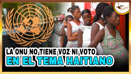 La ONU No Tiene Voz Ni Voto  En El Tema Haitiano | Tu Mañana By Cachicha