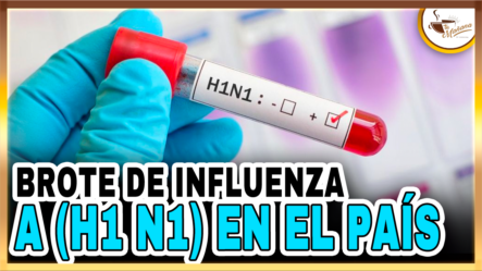 Brote De Influenza  A (H1 N1) En El País | Tu Mañana By Cachicha
