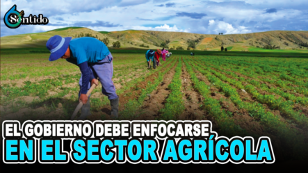 El Gobierno Debe Enfocarse En El Sector Agrícola | 6to Sentido