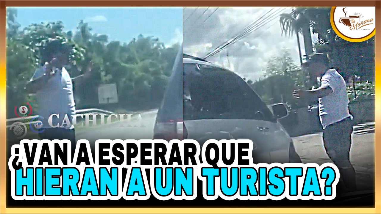 ¿Van A Esperar Que Hieran A Un Turista? | Tu Mañana By Cachicha