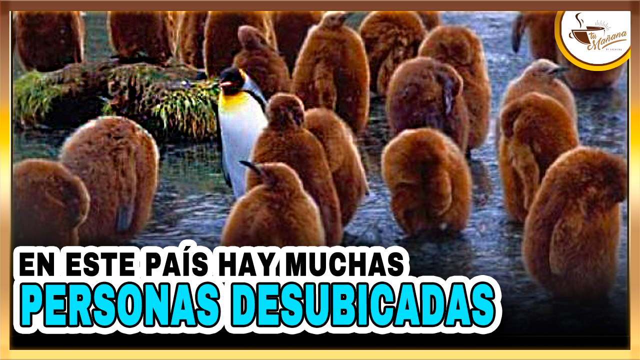 En Este País Hay Muchas Personas Desubicadas | Tu Mañana By Cachicha