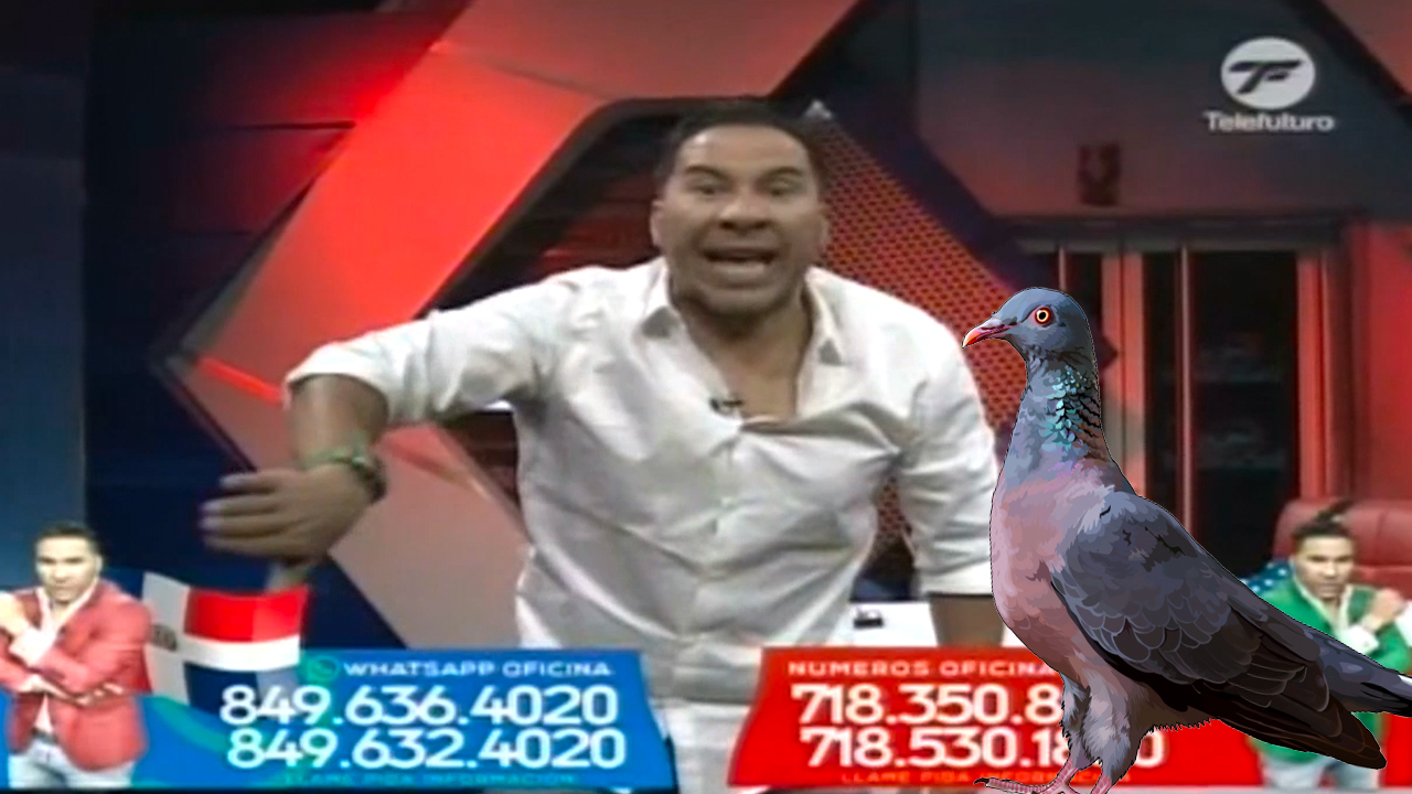 El Maestro Revela El Tigueraje Palomo Para Reformar La Constitución