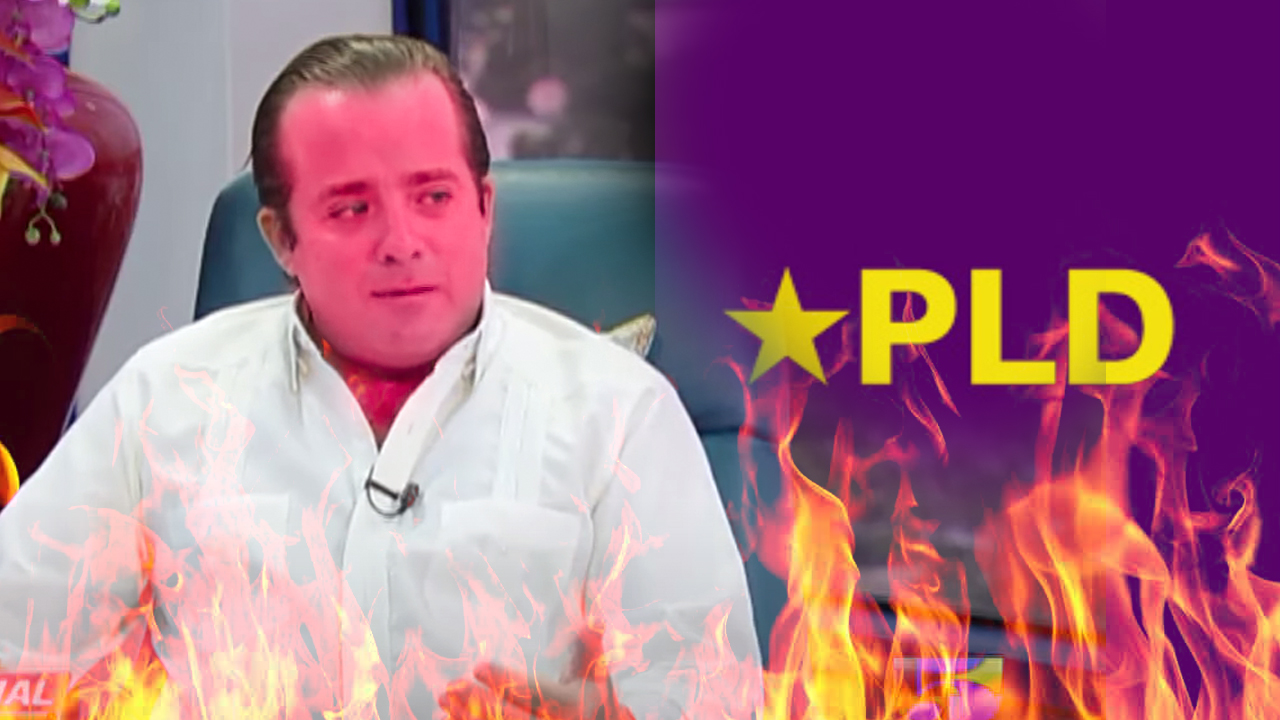 Las Fuertes Y Comprometedoras Declaraciones De Jose Ignacio Paliza Para El PLD