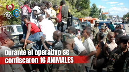 Arrestan 280 Haitianos En Parque Nacional Los Haitises