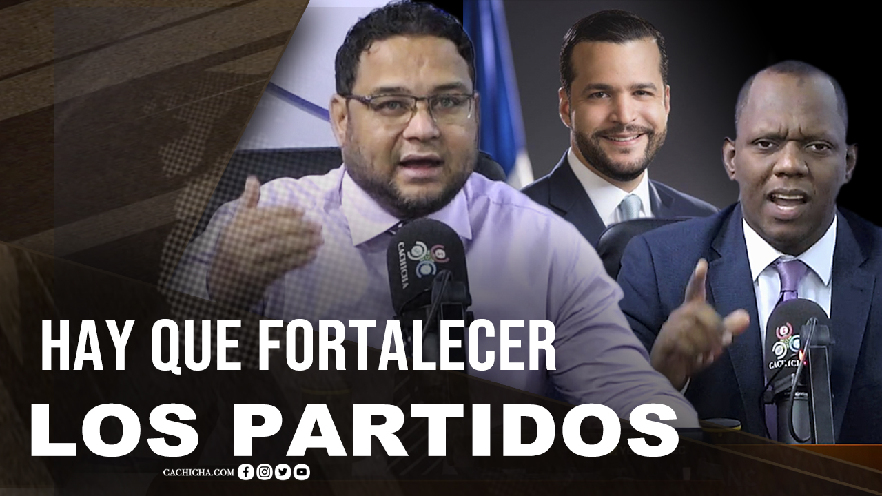 Hay Que Fortalecer Los Partidos Para Alimentar La Democracia