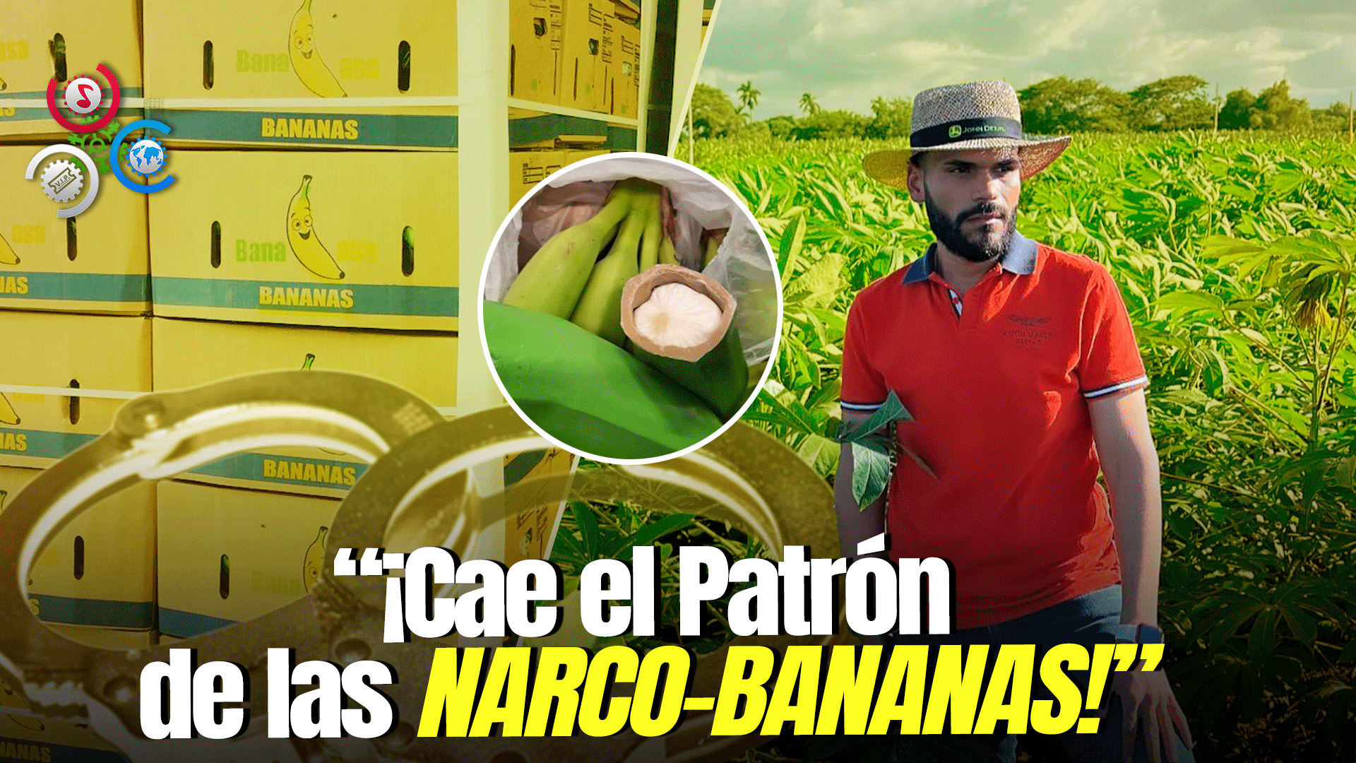 Arrestan Hombre Buscado Por Enviar Droga Oculta En Guineos Con Destino A Europa