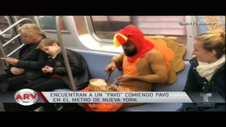 Encuentran A Un “Pavo” Comiendo Pavo En El Metro De Nueva York