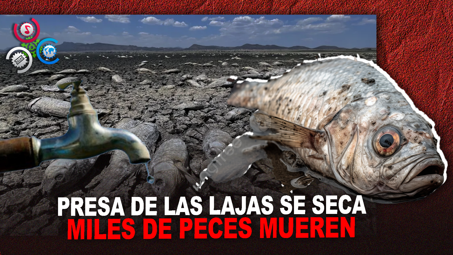 Sequía Deja Toneladas De Peces Muertos En México