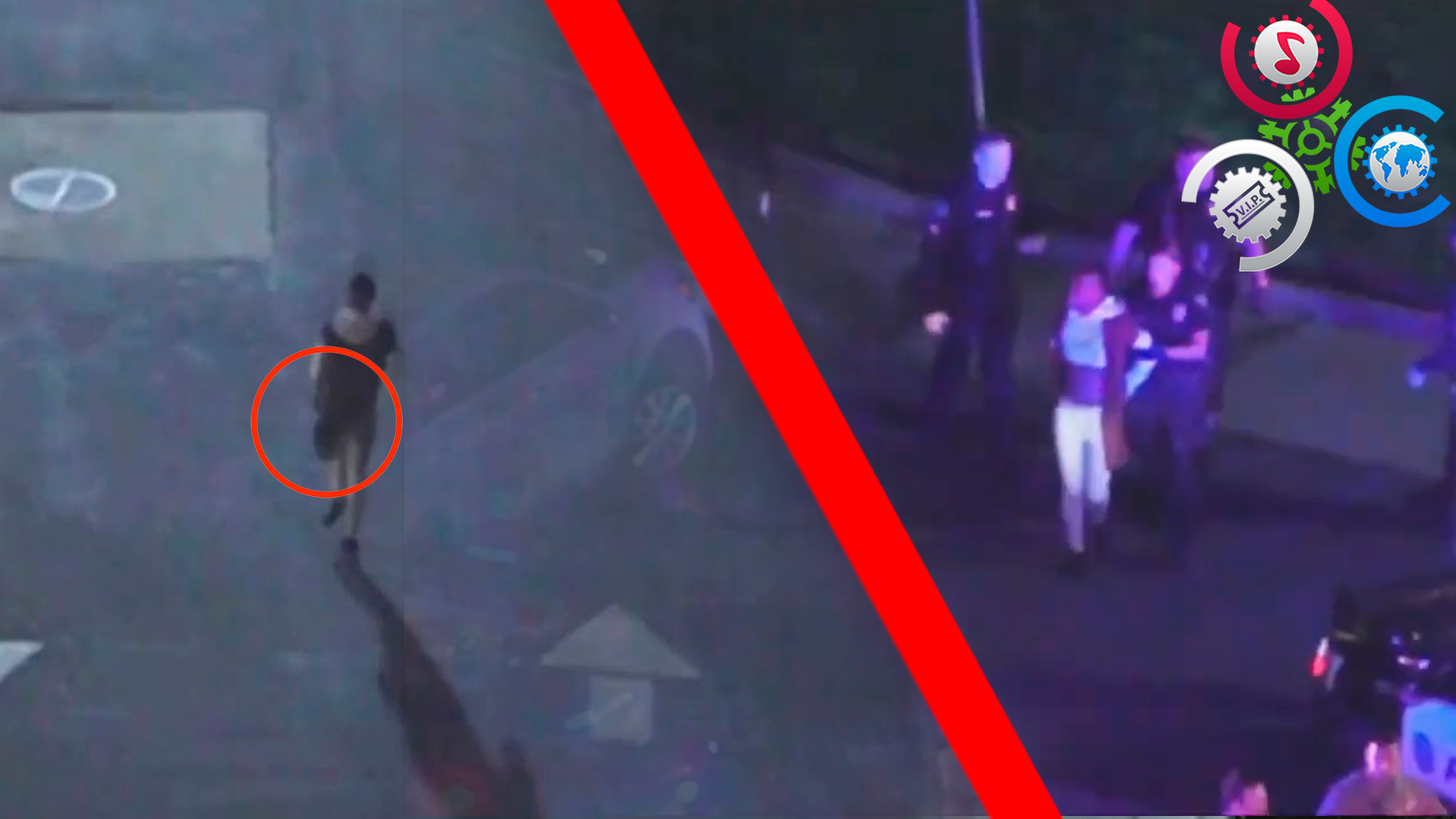 Sospechosa De ROBO Pierde Su PELUCA Mientras Trataba De Huir De La Policía En Florida