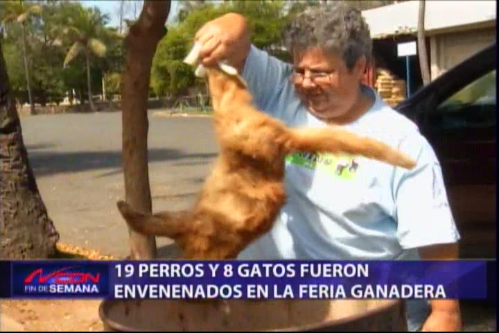 19 Perros Y 8 Gatos Fueron Envenenados En La Feria Ganadera #Video
