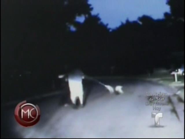 Hombre Usa Su Perro Como Látigo Para Atacar A Un Policía