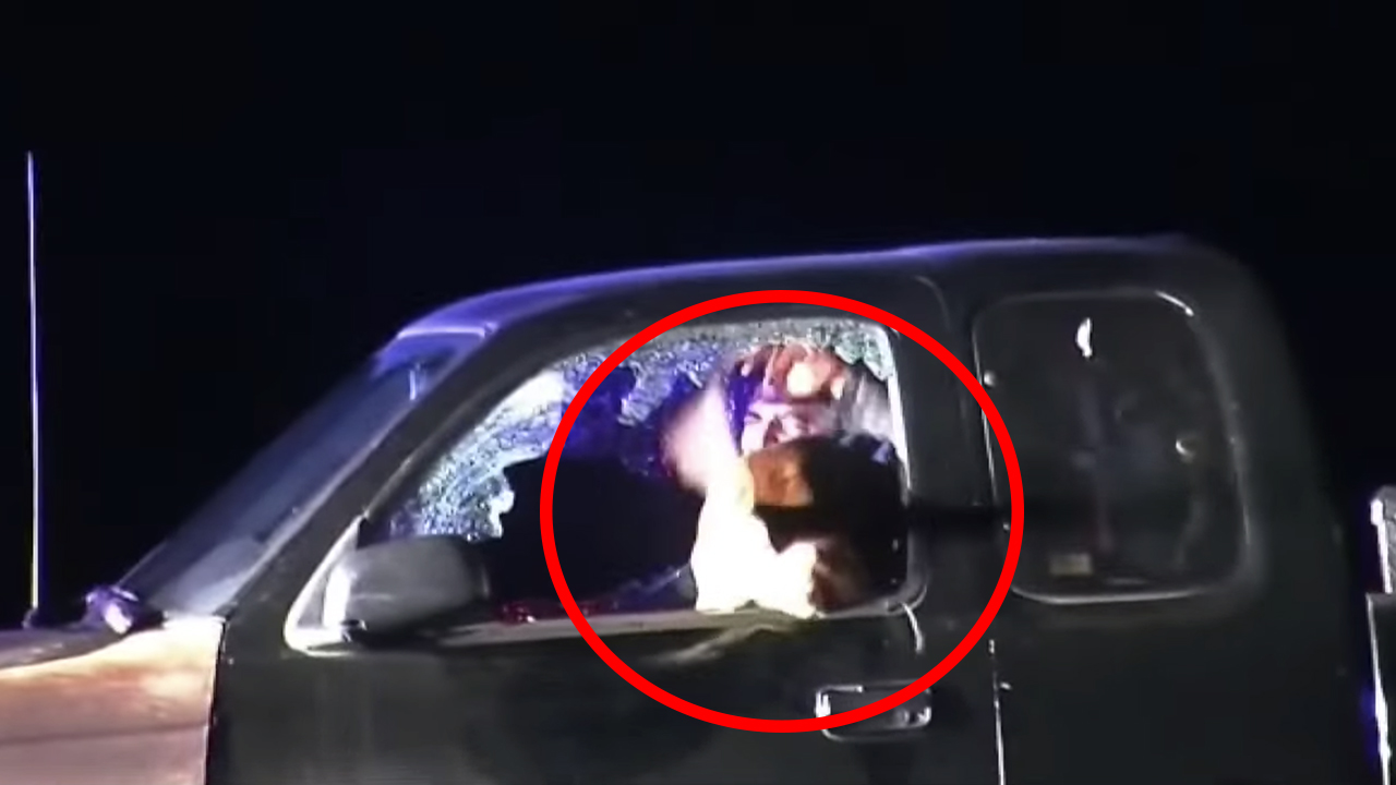 ¡INCREÍBLE! Mira Cómo Este Perro Intercepta A Este Sospechoso