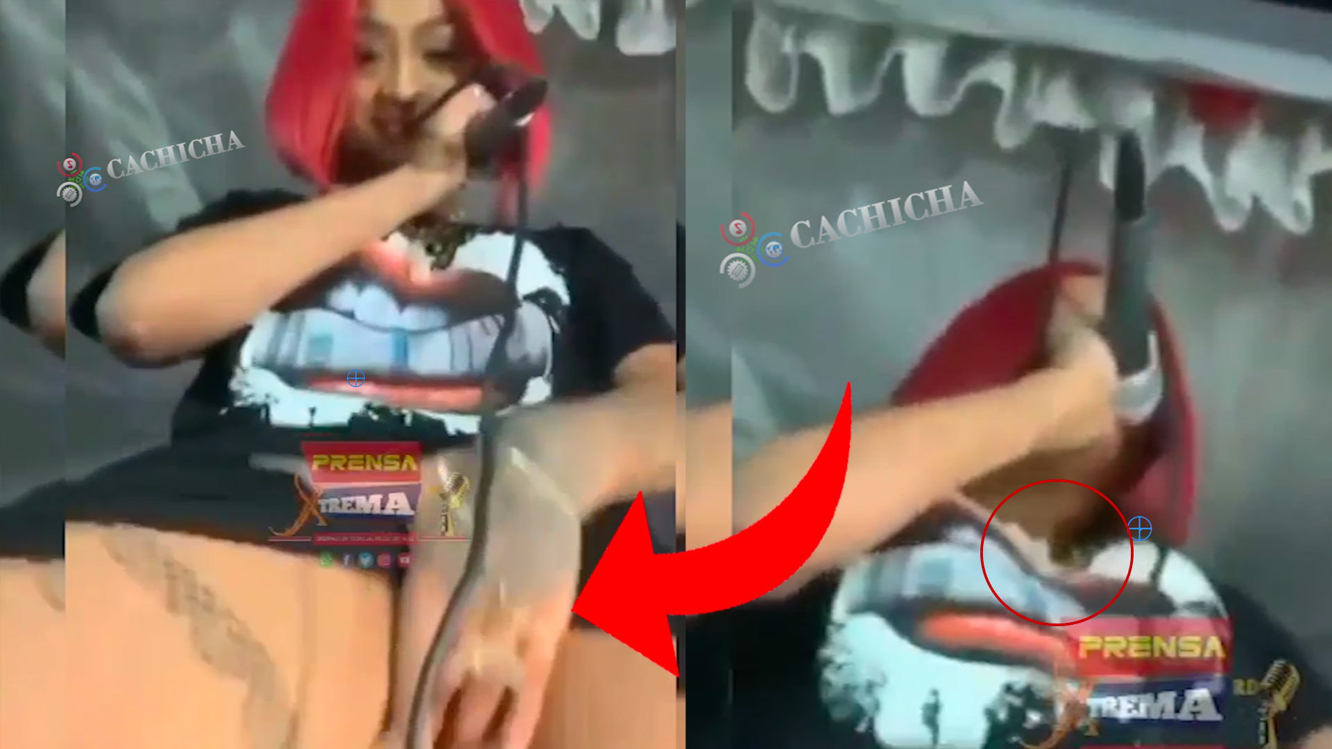 No Creerás El Acto Sexual Que Cometió La Perversa En Un Concierto; Dejó A Todos Boquiabiertos