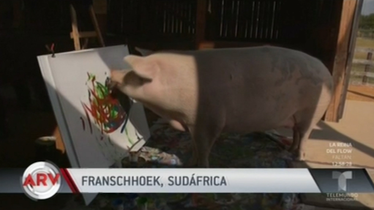 Este Cerdito Es Tremendo Pintor