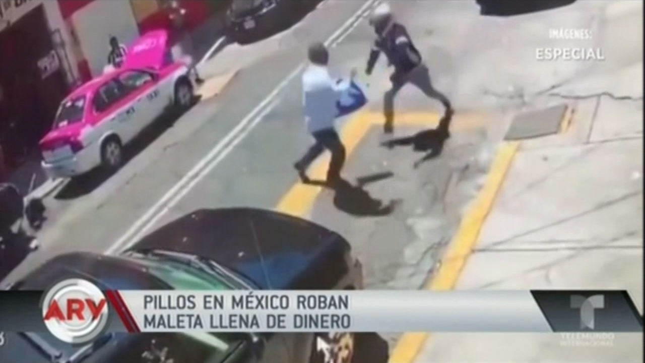 Pillos En México Roban Maleta Llena De Dinero