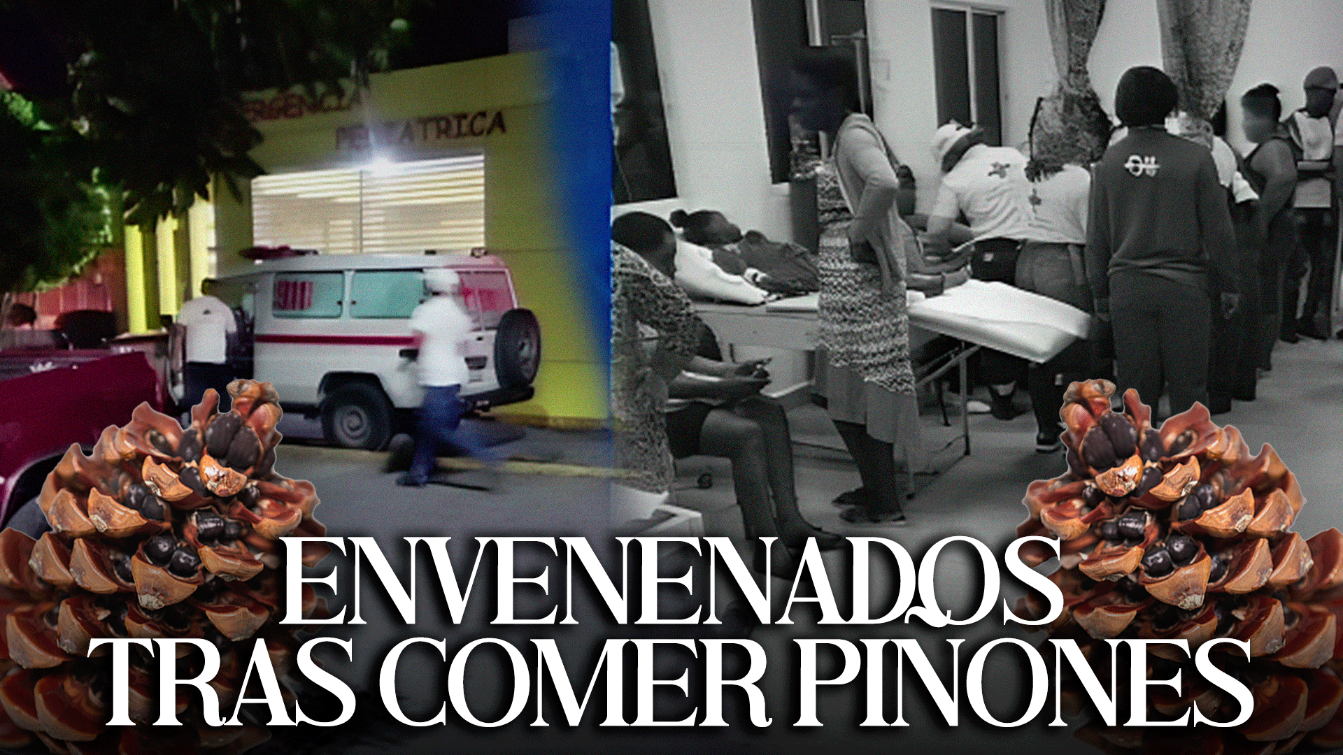 5 Niños ENVENENADOS Tras Ingerir Piñones Triturados