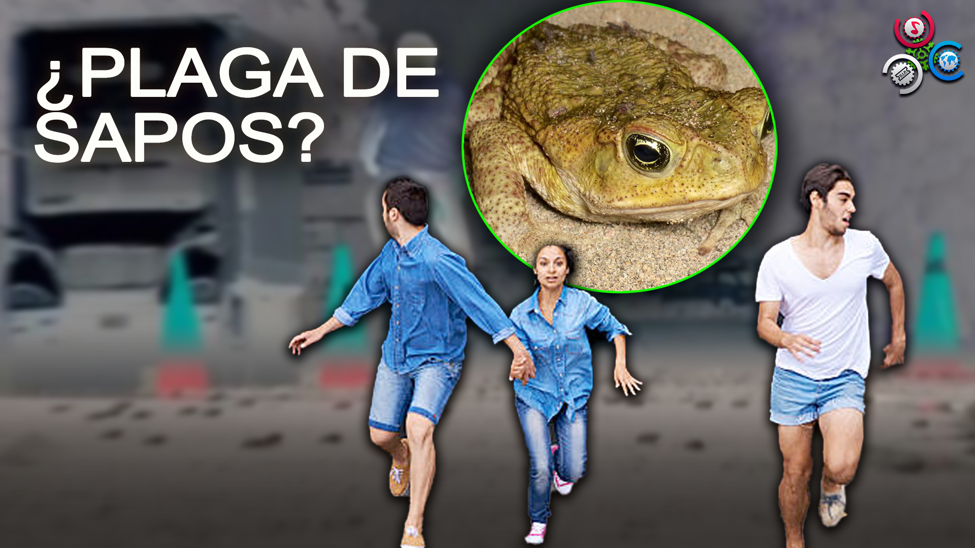 Plaga De Sapos Y Renacuajos Desata Tremendo Caos En Un Pueblo De Honduras