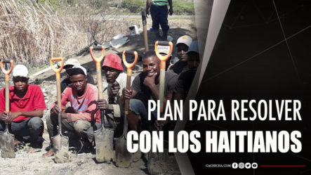 Iluminada Muñoz Propone Plan De Regularización Para Los Haitianos