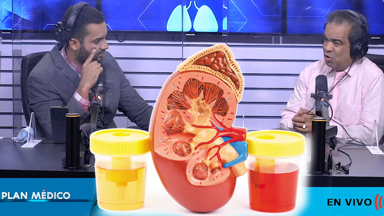 ¿Por Qué Se Produce El Sangrado En La Orina? | Plan Médico