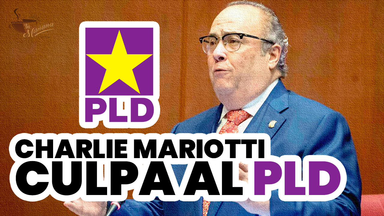 Mira De Lo Que Charlie Mariotti Culpa Al PLD