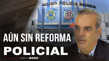 12 De Febrero Y Aún Sin Señal De Reforma Policial