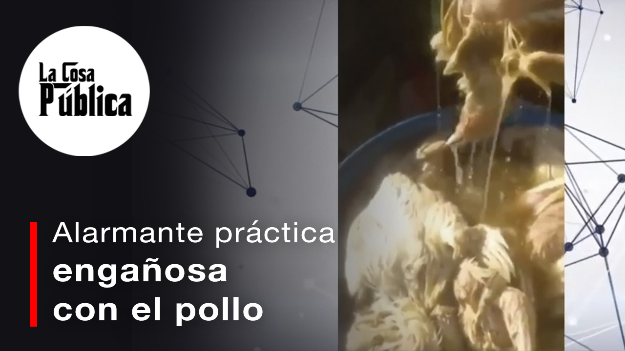 Alarmante Práctica Realizada A Pollos Muertos Por Enfermedad De Newcastle