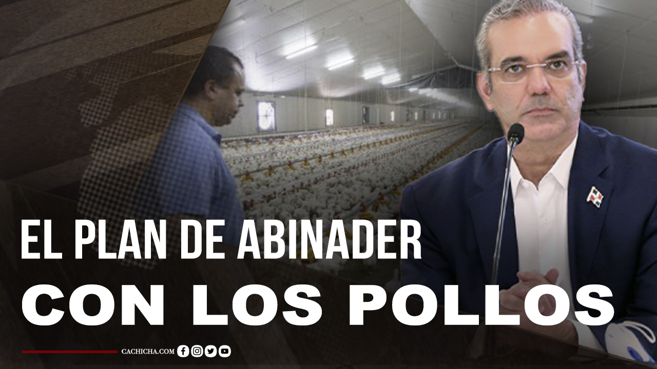 Mamola Dice, Sandy Sandy No Puede Comprar Más Que Un Pica Pollo