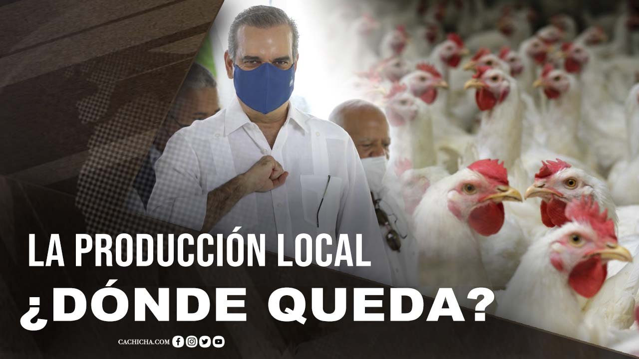 La Gran Preocupación Con Los Productores De Pollo
