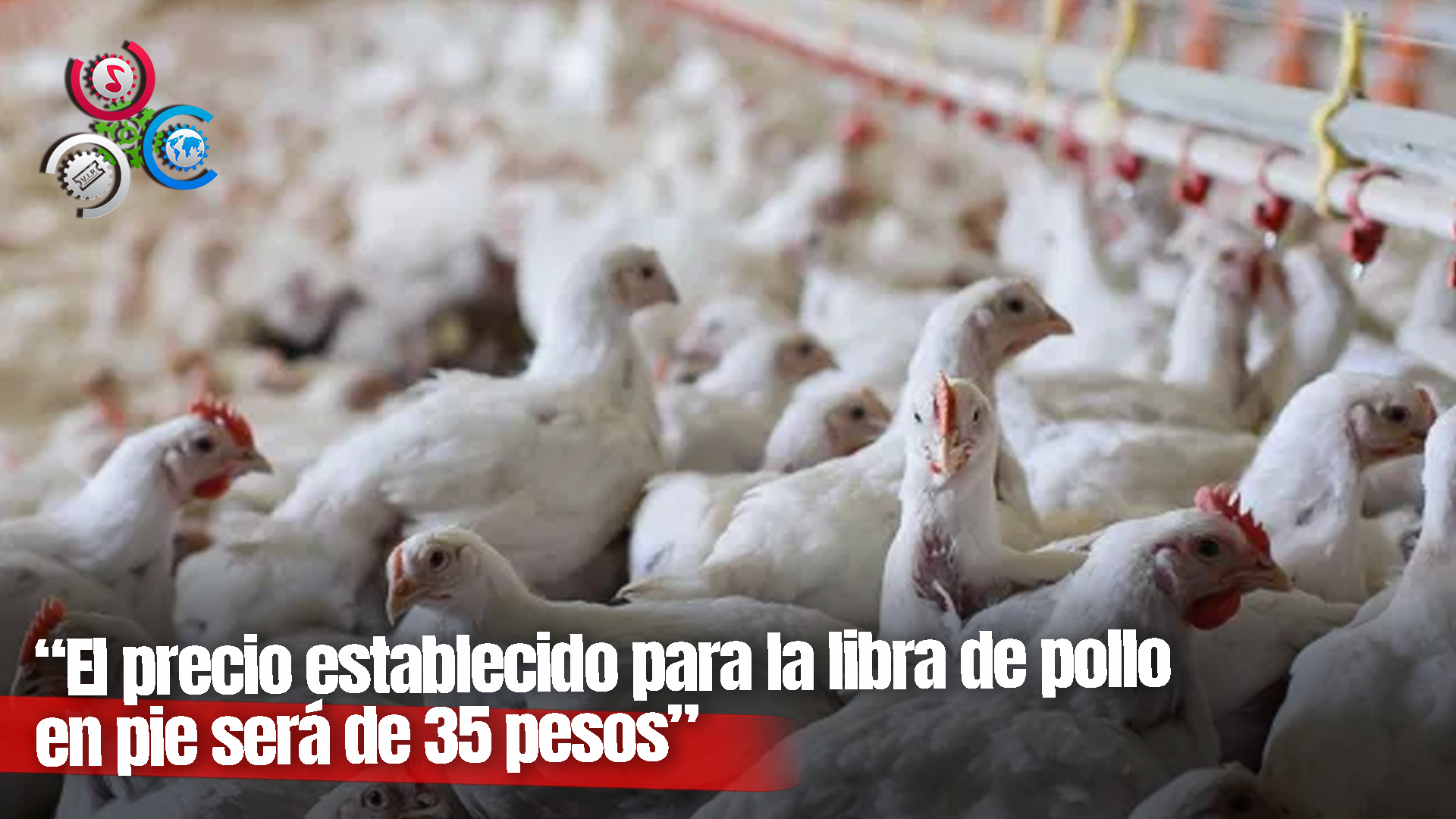 Gobierno Dispone De Más De RD$900 MM Para Pignoración De Pollos