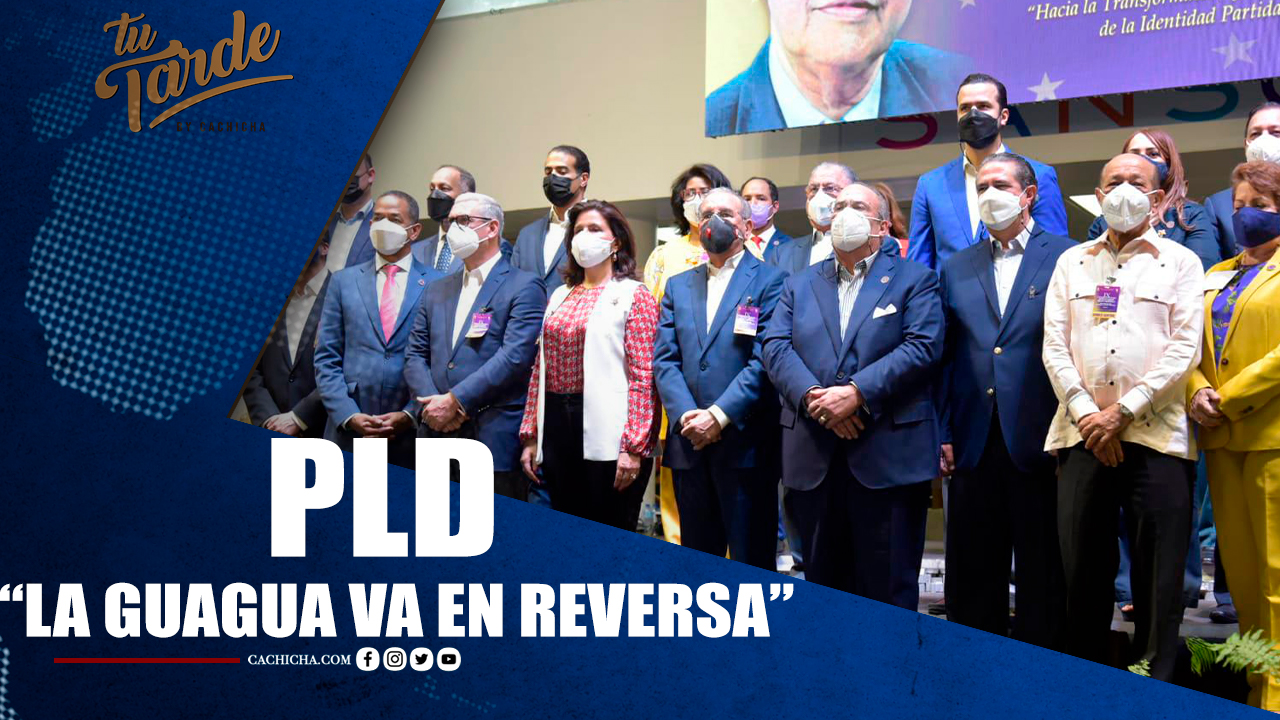 PLD “La Guagua Va En Reversa” | Tu Tarde