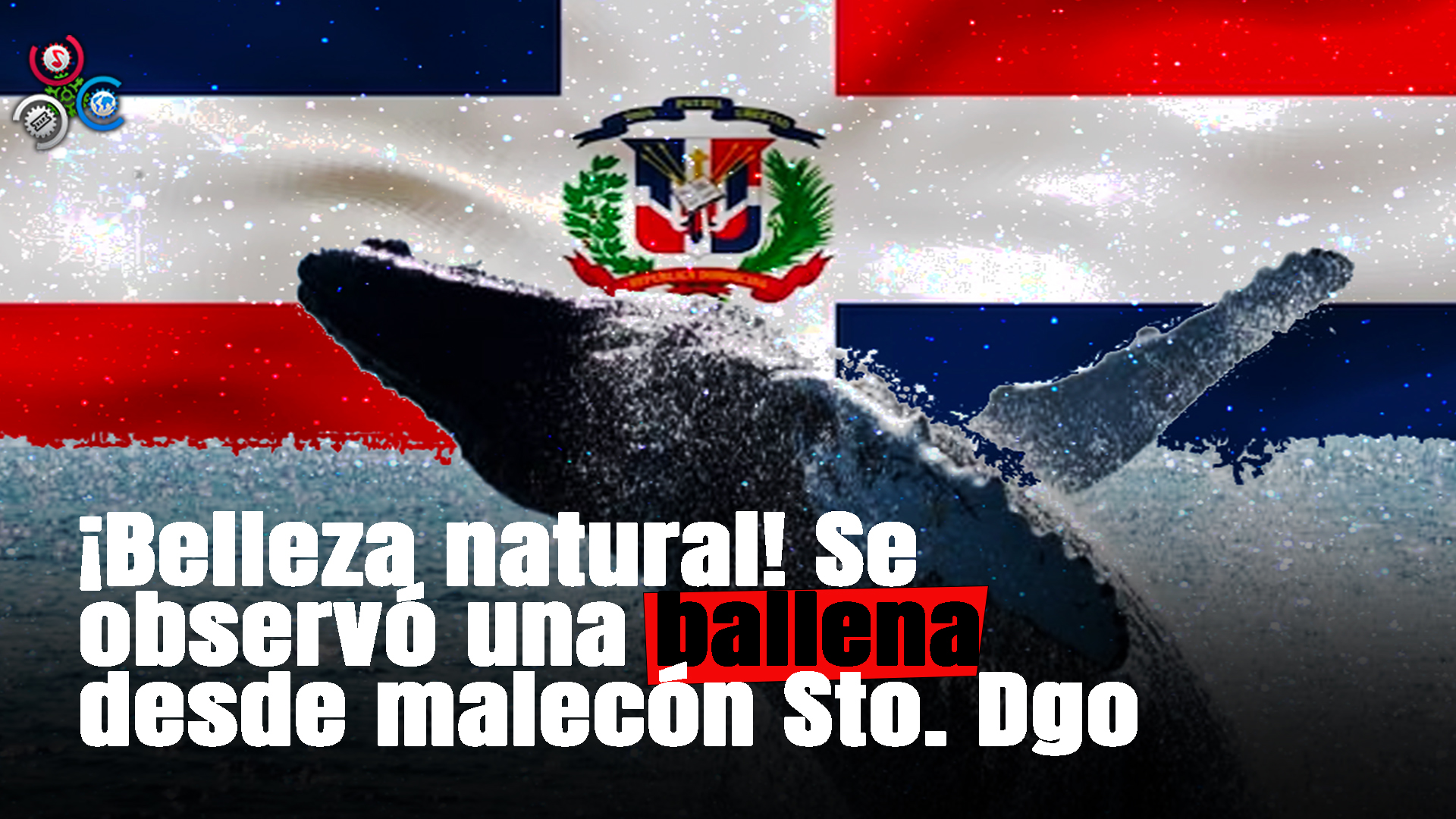 ¡ASOMBROSO! Se Observa Desde El Malecón De Santo Domingo A Una Ballena En La Superficie
