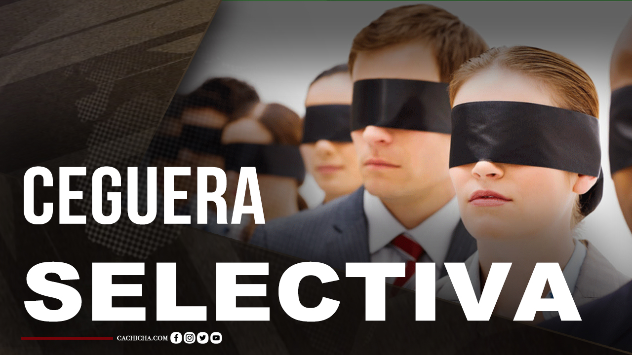 Una Ceguera Selectiva Como Estrategia Para Generar Desarrollo Con Francina Hungría