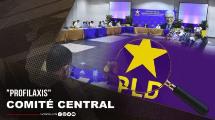 Recomendación Al PLD: “PROFILAXIS” Para El Comité Central