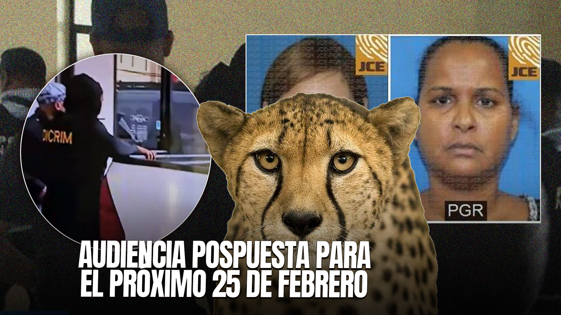 Tribunal De La Romana Conocerá Medidas De Coerción Contra Implicados En Operación Guepardo Este Martes