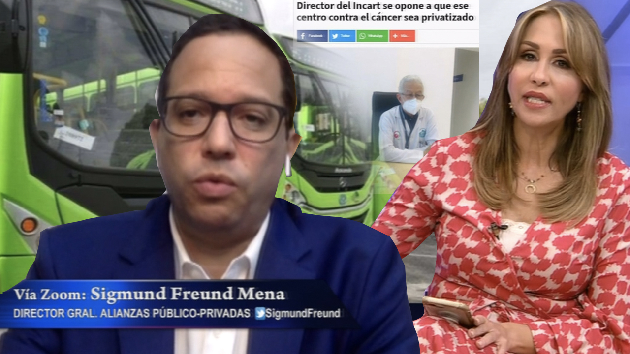 Sigmund Freund Mena Aclara Todo Sobre La Privatización De Instituciones
