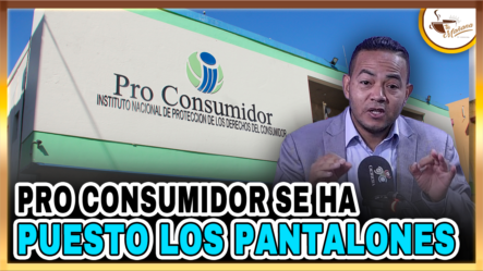 Delvis Santos – Pro Consumidor Se Ha Puesto Los Pantalones | Tu Mañana By Cachicha