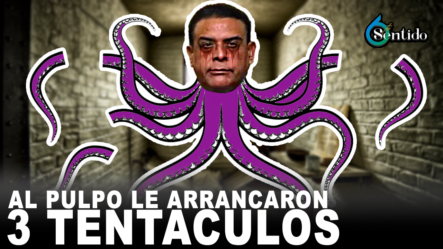 Al Pulpo Le Arrancan 3 Tentáculos