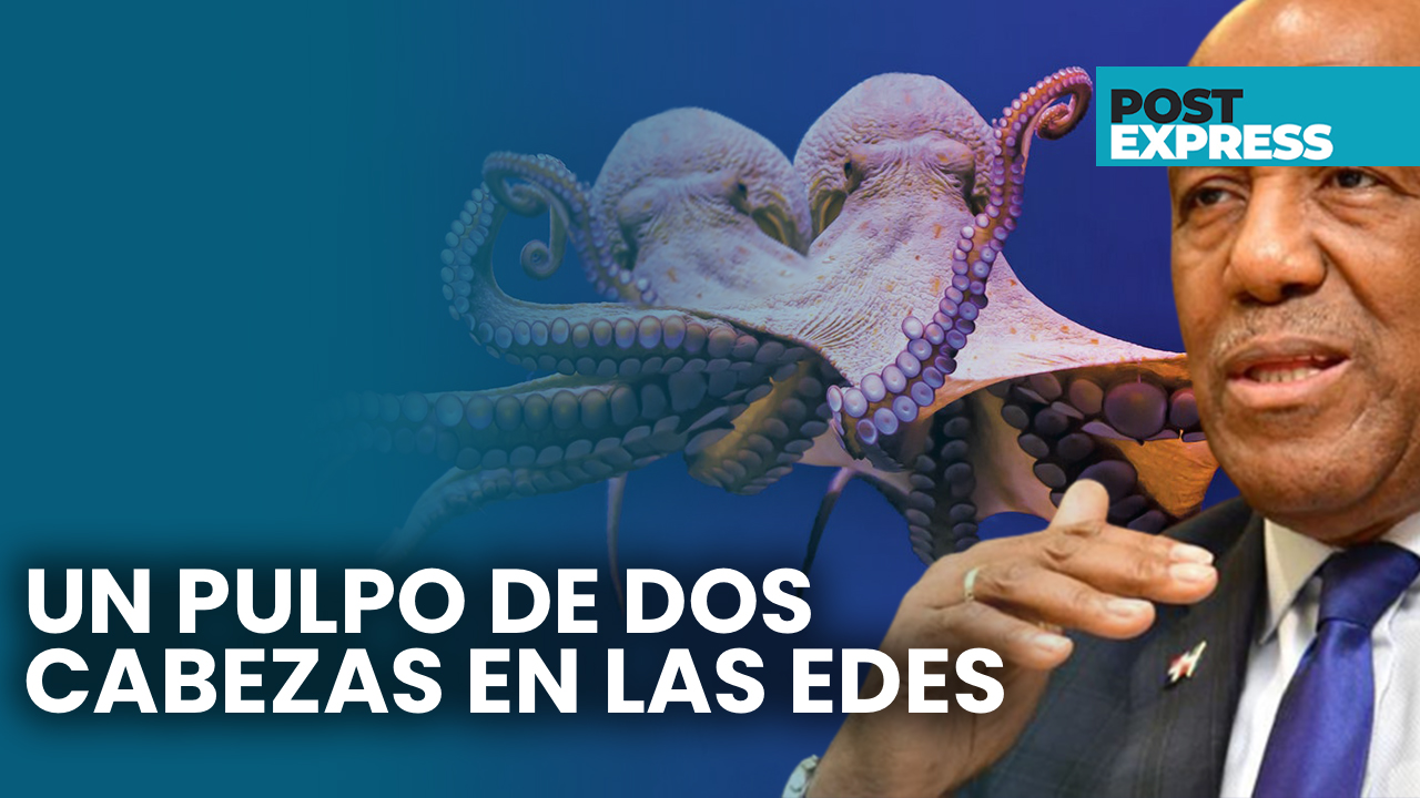 Aparece Un Pulpo De Dos Cabezas En Las EDES | Post Express