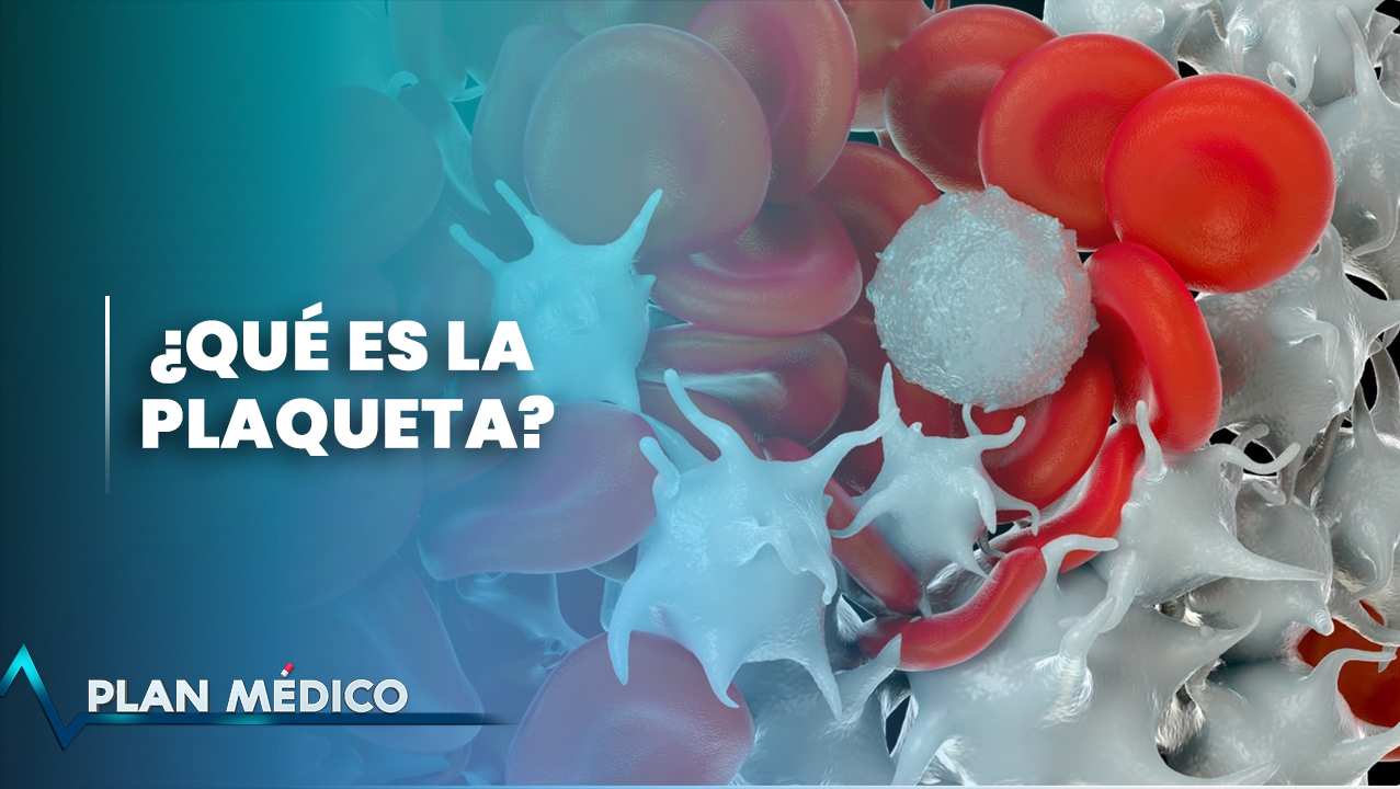 ¿Qué Pasa Cuando Tenemos La Plaqueta Baja? | Plan Médico (1/2)