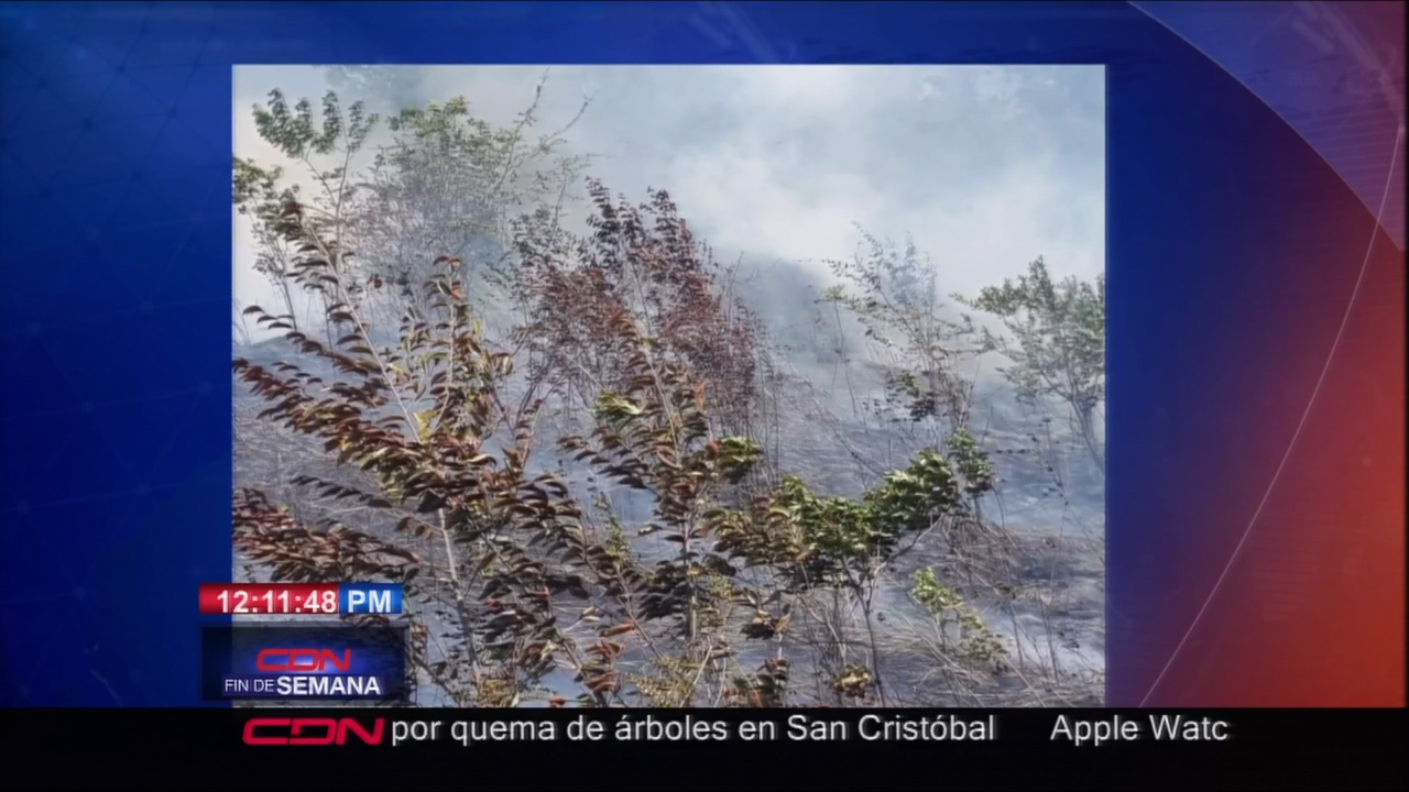 SENPA Arresta Hombre Por La Quema De Varios Árboles Y Vehículos Extrayendo Material En Nisao