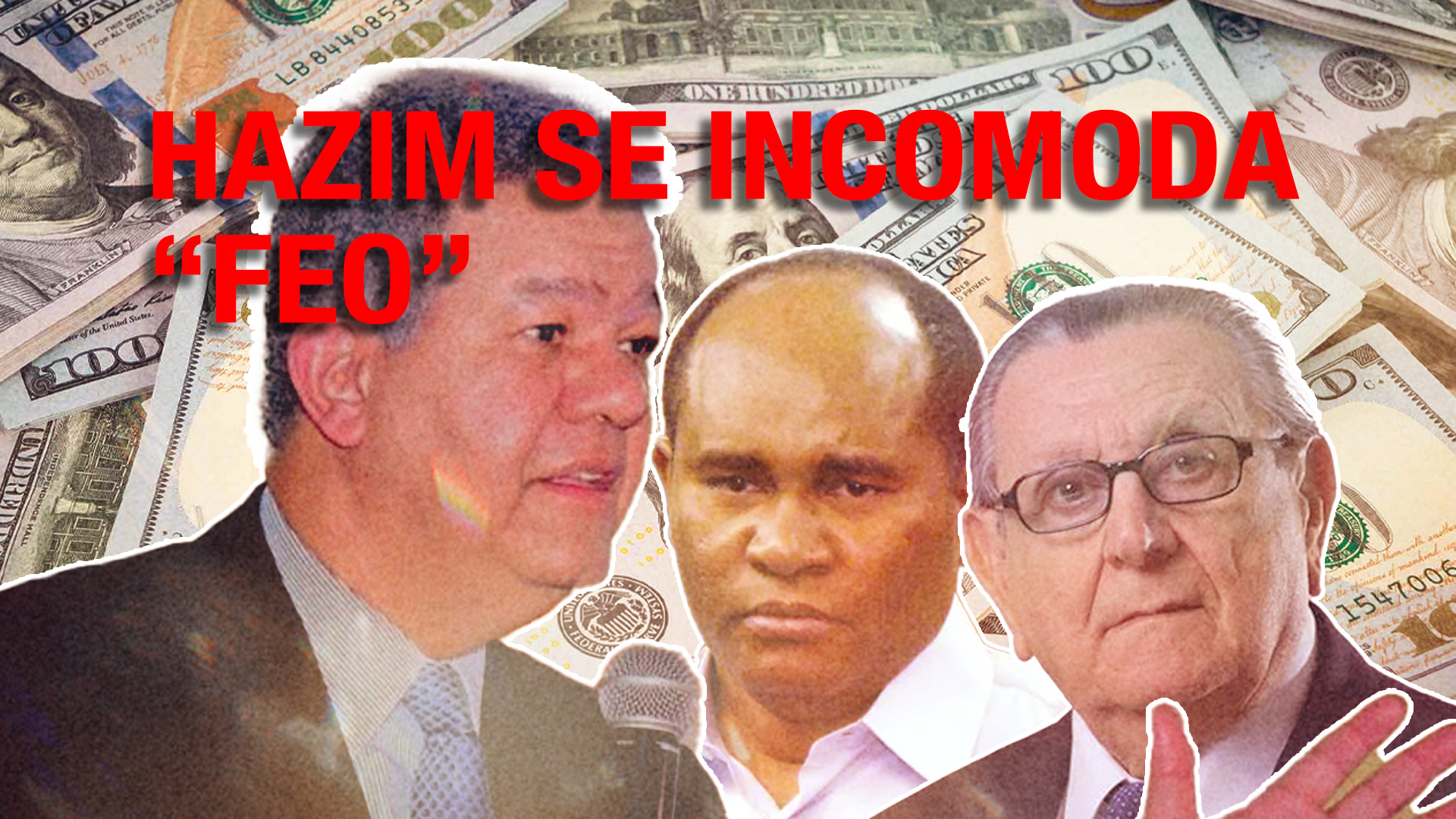 Esta Es La Persona Que Leonel Fernández Podría Demandar; Muy Delicada Situación