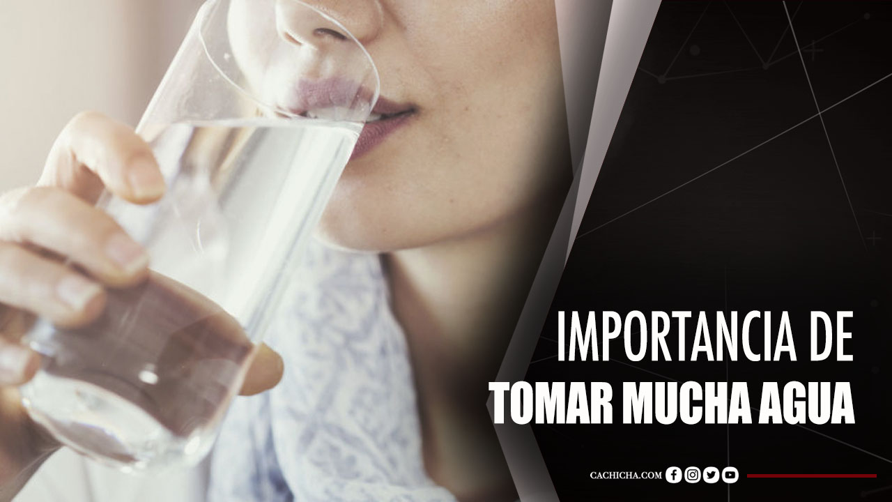 Nutrióloga Explica La Importancia De Tomar Mucha Agua