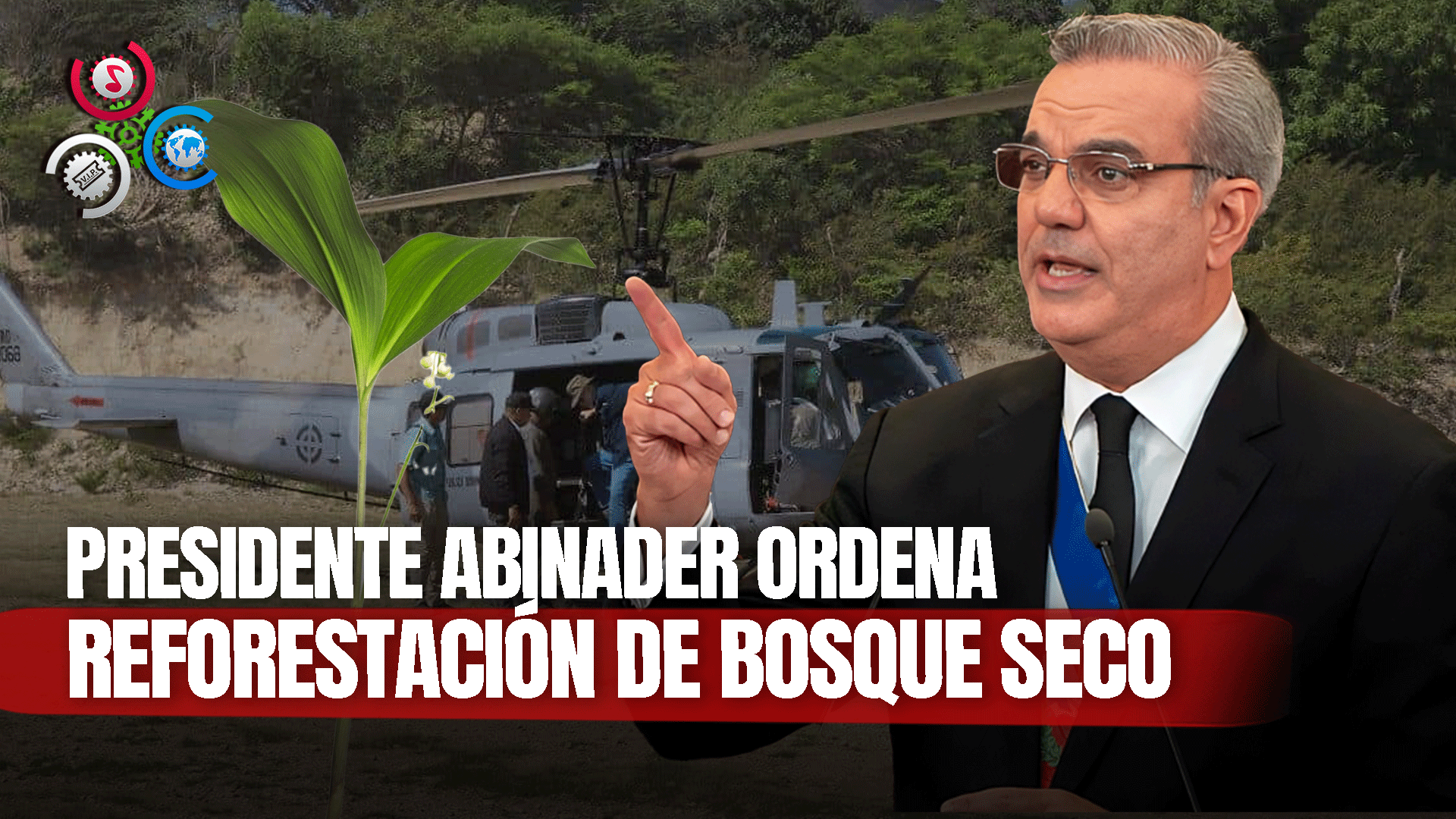 Presidente Luis Abinader Ordena La Reforestación De Bosque Talado Por Desaprensivos En Monte Cristi