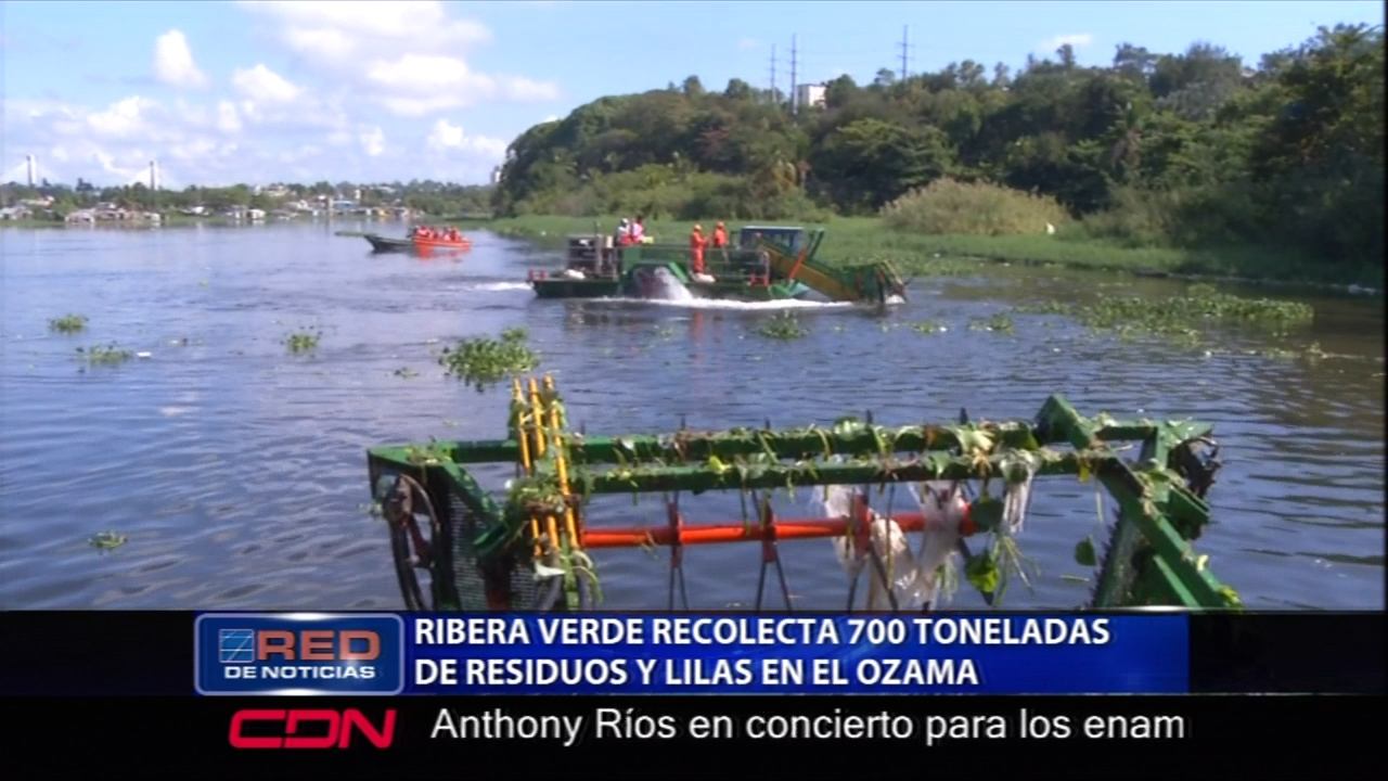 Programa “Ribera Verde” Recolectó 700 Toneladas De Residuos Sólidos Y Lilas En El Ozama