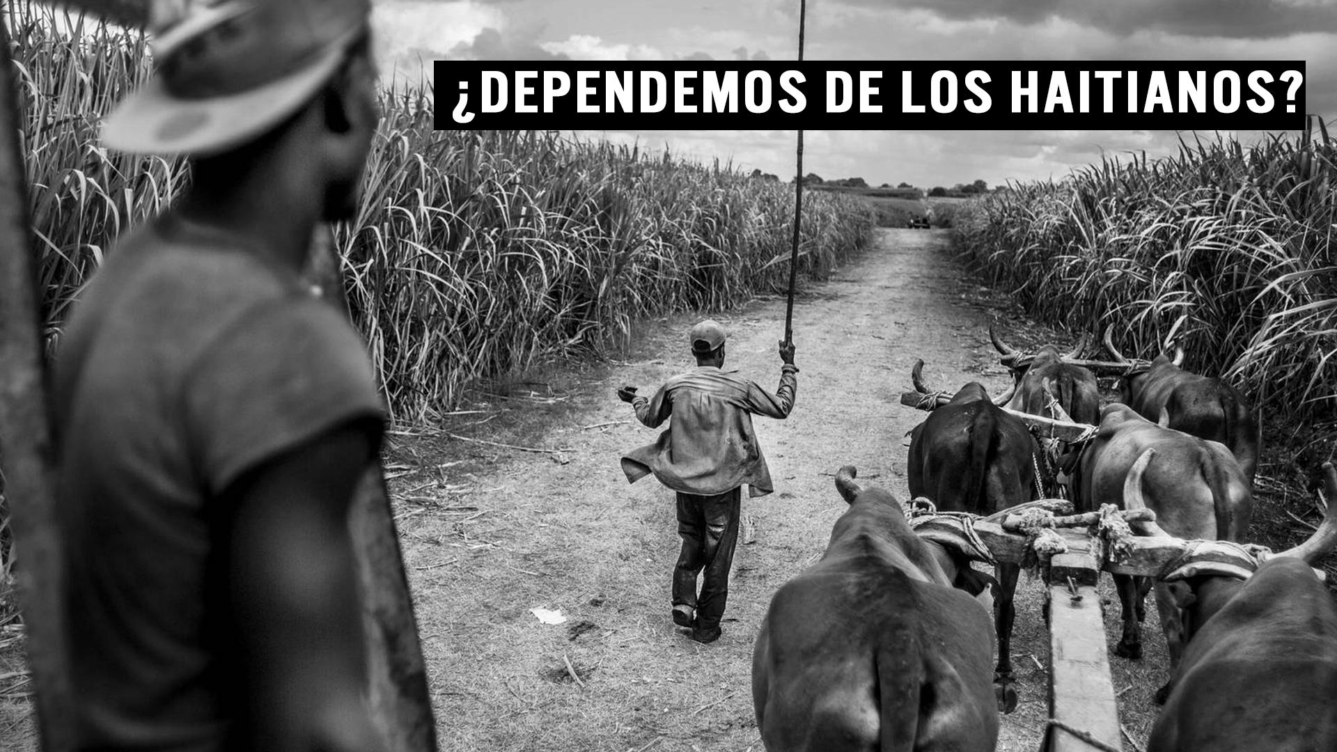 Mira La Razón Por La Que Este Periodista Apoya Desviación Del Río Masacre. ¡Te Hará Reflexionar!