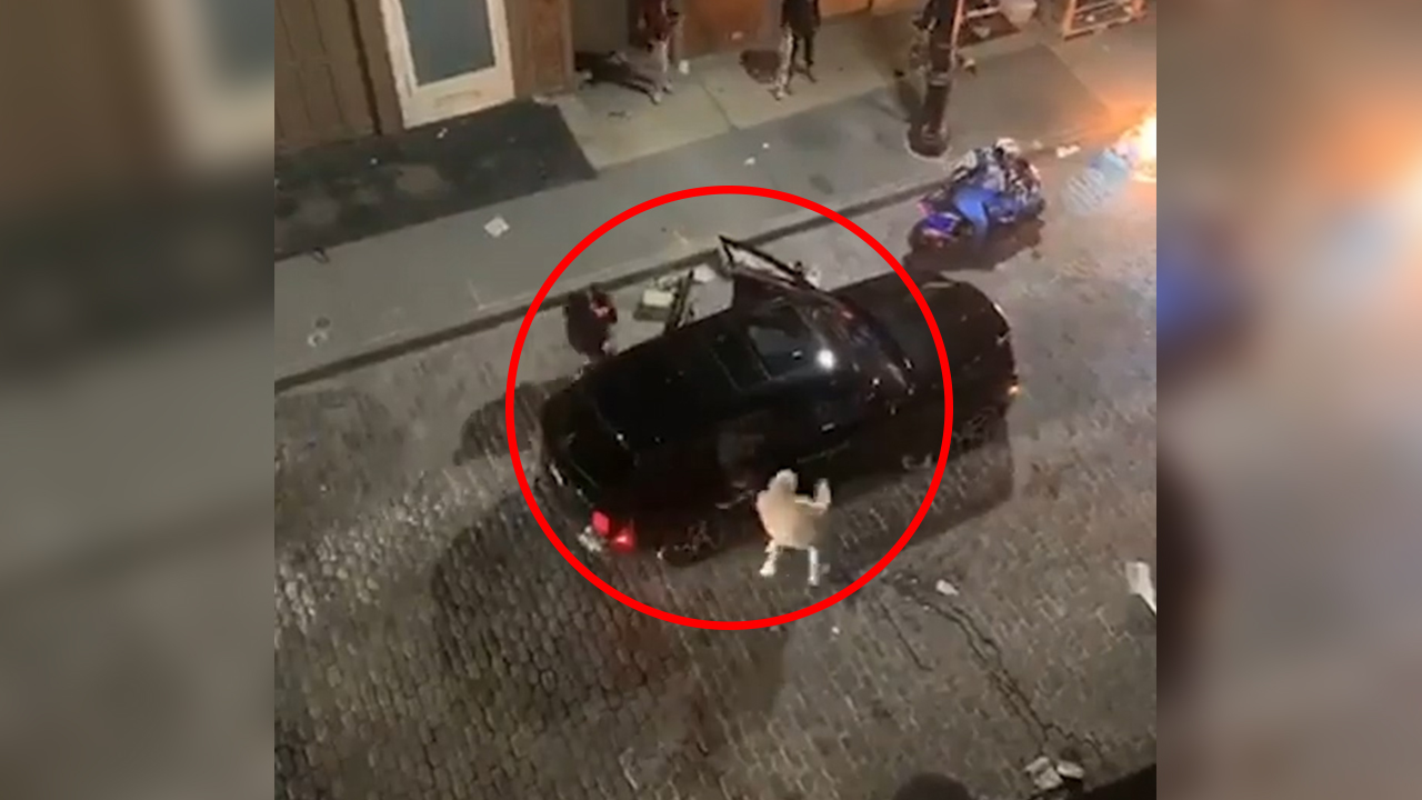 Saqueadores De NY Lo Hacen A Bordo De un Rolls-Royce