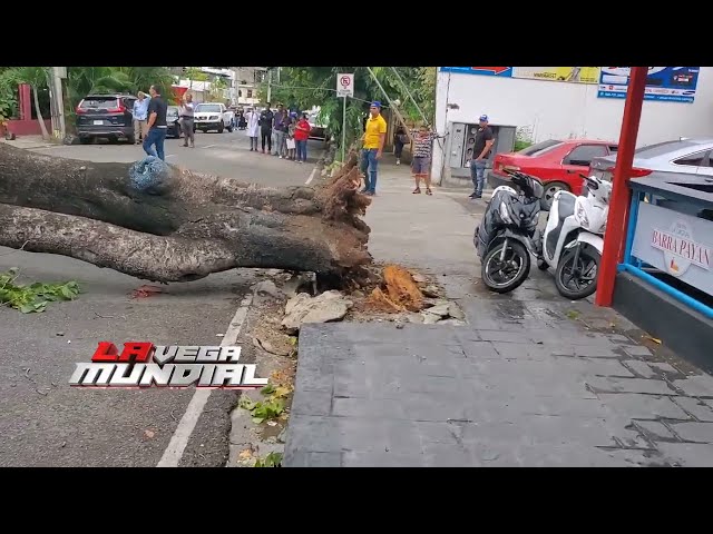 Muere Hombre Tras Caerle Un árbol Encima Debido A Las Tormentas