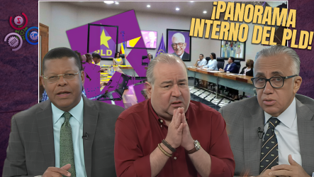 ¡Se Calienta La Carrera Interna Del PLD!: Anuncian Nuevos Aspirantes