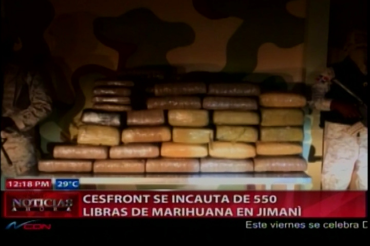 CESFRONT Se Incauta De 550 Libras De Marihuana En Jimani Procedente De Haití